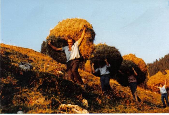 Les porteurs de filards