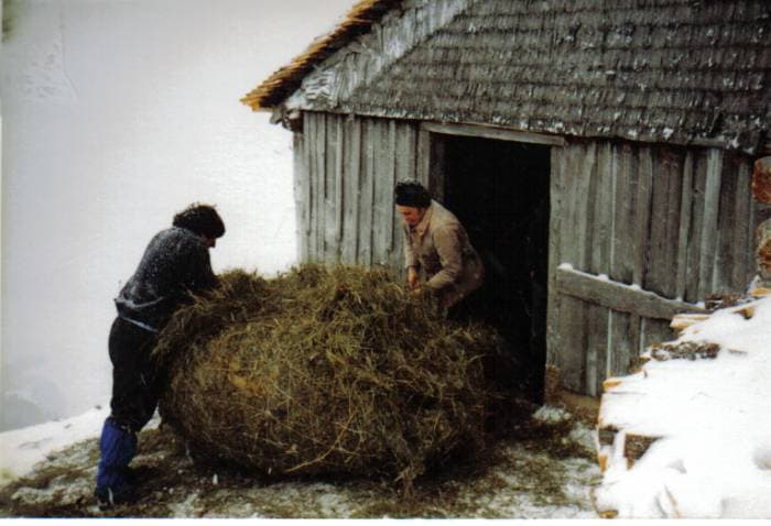 Le foin est sorti des chalets