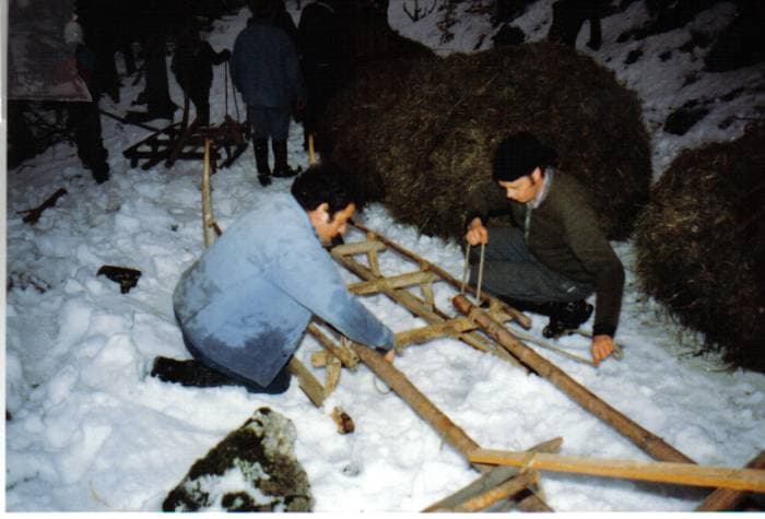 La préparation des traîneaux