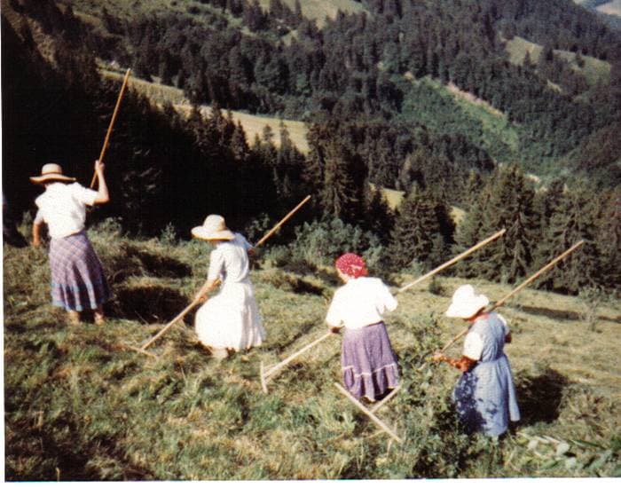 Les râteleuses