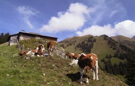 Chalet sur les pentes gazonnées des Merlas (1907 m) — photo : Philippe Noth, www.noth.ch.
