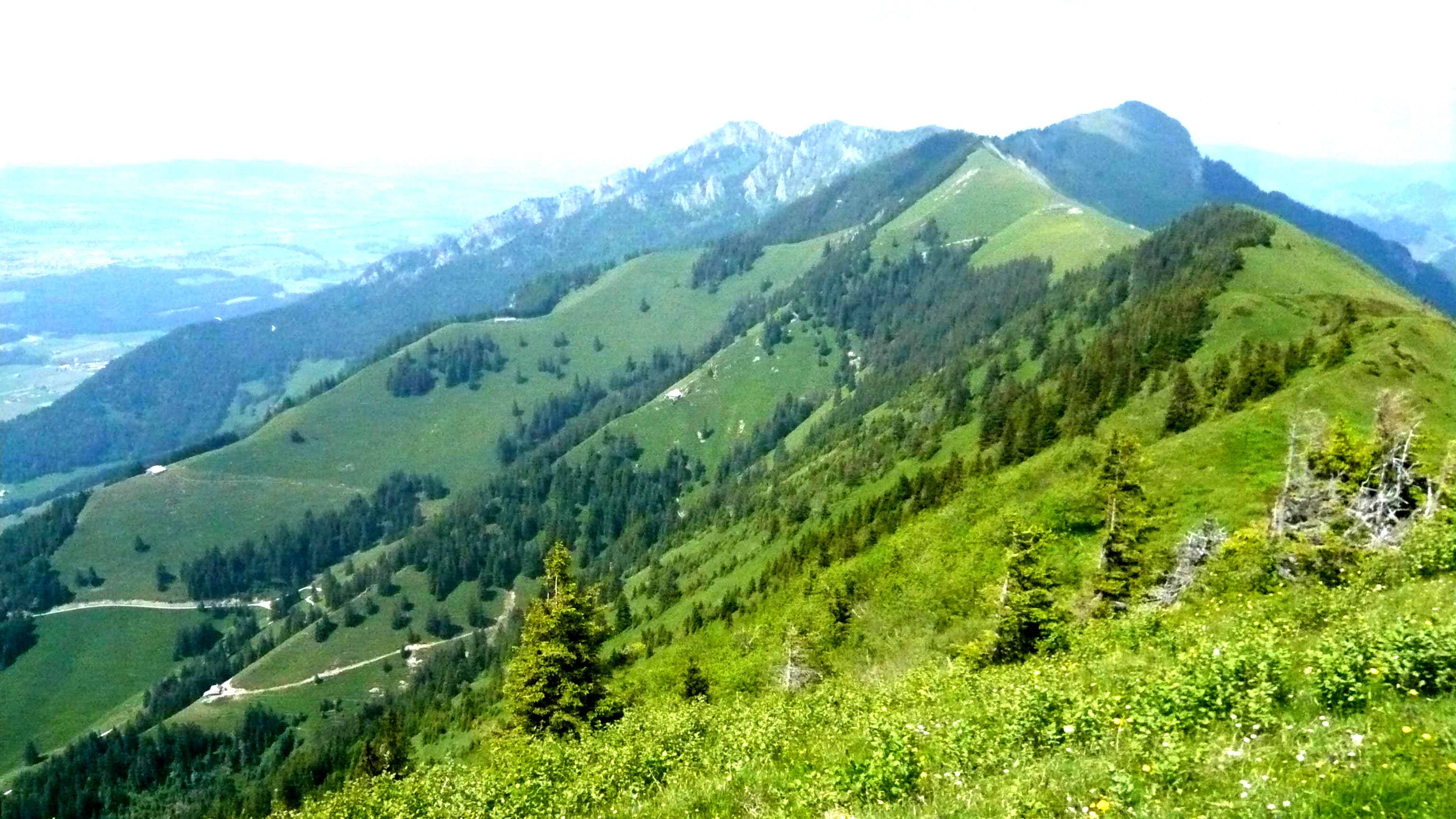 L'arête des Chaux, la vallée de Motélon et le champ de rhododendrons