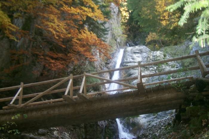 La cascade du Dah et son pont réalisé par l’équipe forestière de Bas-Intyamon et Grandvillard (juin 2005)