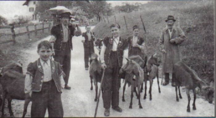Les chevriers sur le chemin du Tsèrmin : P'tit Paul, Oscar Pharisa, Georges Caille, Edmond Magnin, Jean-Marie Caille, Gratien Caille.