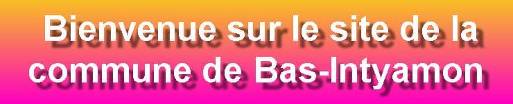 La bannière de la commune de Bas-Intyamon.