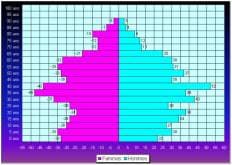 La pyramide des âges de la population (femmes / hommes).